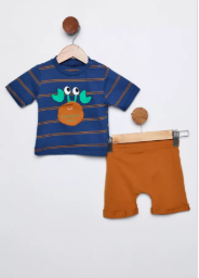 Erkek Bebek